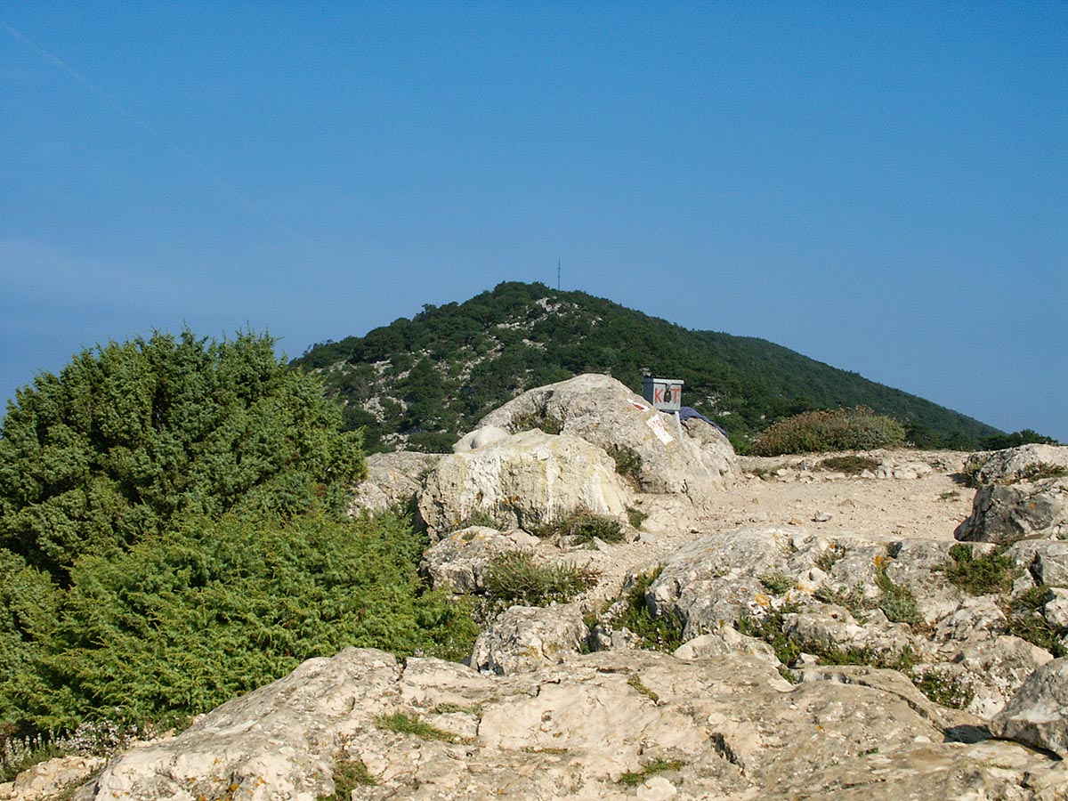 Blick auf Sendemast